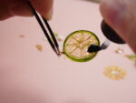 Handmade Resin Lime Slice Earrings: Sterling Silver Hooks - Image 8