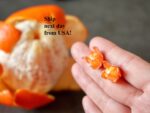 Handmade Resin Mandarin Earrings - Image 7